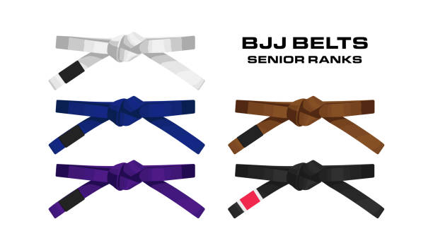 bjj ceintures de couleurs