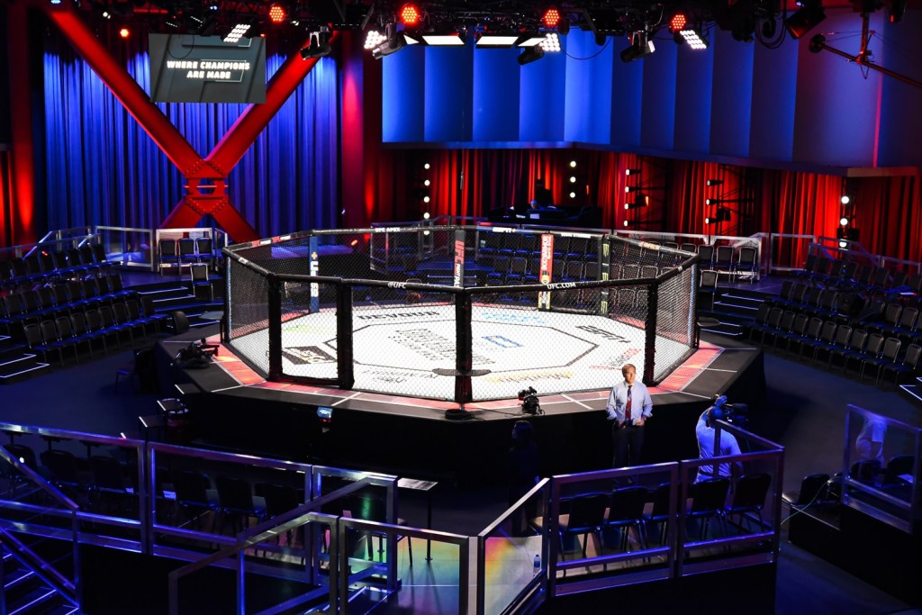 ufc bjj 1