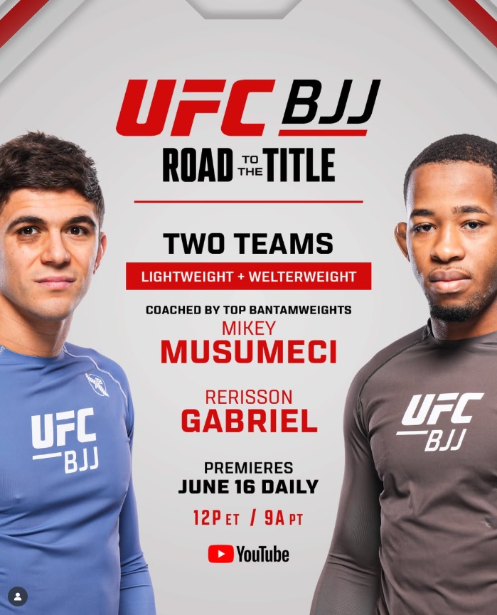 ufc bjj road to title