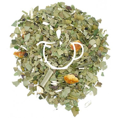 Maté Vert Citron du Brésil de Thé-Passion