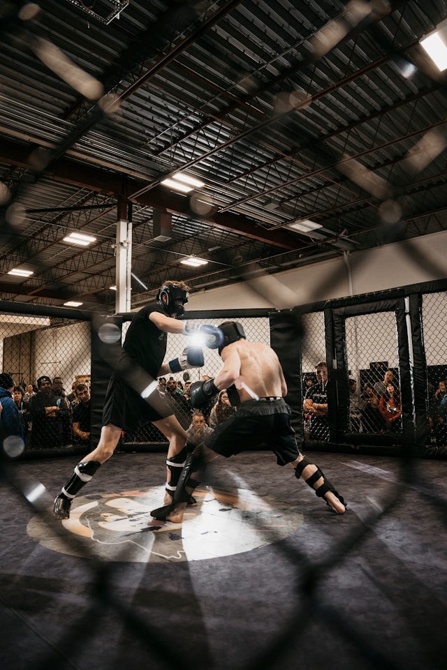 mma vs bjj