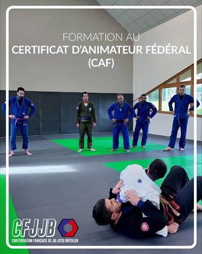 certificat animateur fédéral cfjjb